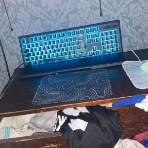 Razer Ornats Chroma gaming tangent bord+musmatta, magnetiskt armstöd - Razer Ornata Chroma gaming-tangentbord med RGB-belysning. Detta är ett tangentbord designat för gaming och datoranvändning. Perfekt för dig som vill ha snygg belysning och bekväma tangenter till din setup. Priset kan diskuteras. Nytt pris:899 mitt pris: 340. Kommer med musmatta och magnetiskt arm stöd