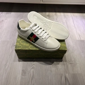 gucci skor - Gucci ace med en ikonisk bi-detalj på sidan. Jag fick dom present, dom är inte min still annars, dom är helt nya och kvittot finns i annonsen (ingår ej). Fråga gärna!