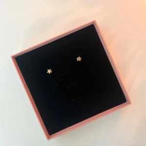 Guldstjärna örhängen - Säljer ett par  örhängen från Edblad. Det ena har tappat liiiite färg (se bild 2)