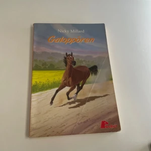 Galoppören bok  - Säljer en bok som har lästs en gång 