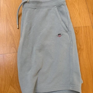 Ljusgrå shorts från GANT - Snygga ljusgrå shorts från GANT med dragsko i midjan och diskret broderad logga på ena benet. Mjukt material och bekväm passform, perfekta för sommardagar eller avslappnade tillfällen.