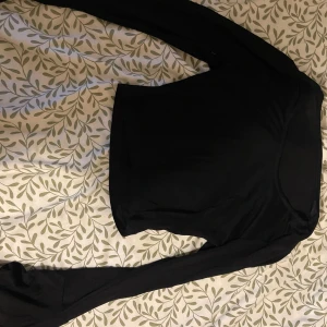 Svart långärmad topp - En enkel och stilren svart långärmad topp med rund hals. Perfekt att matcha med jeans eller kjol för en clean look. Tunn och mjuk i materialet, sitter snyggt och passar till många olika stilar.