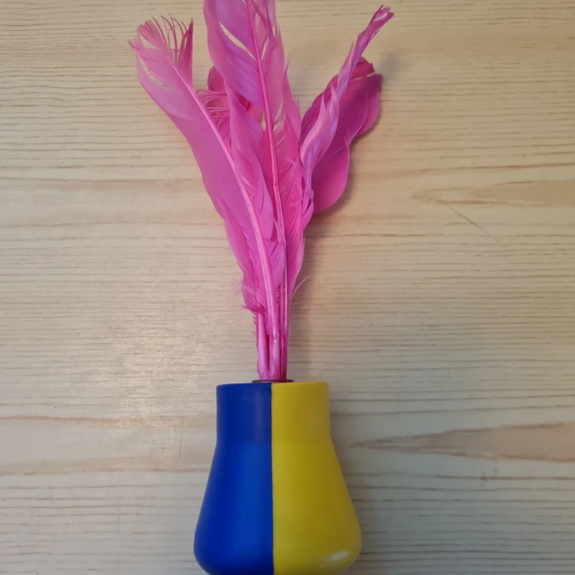 Badleksak med fjäder - 1