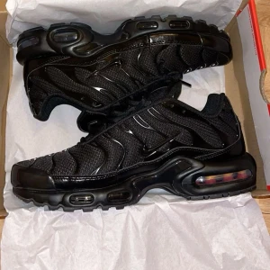 Nike Air Max Tn - Säljer mina Nike Air Max Tn skor för ett bra pris. De är helt nya då jag fick ett annat par svarta skor i födelsedagspresent innan jag började använda dessa. Tveka inte på att kontakta mig vid frågor!