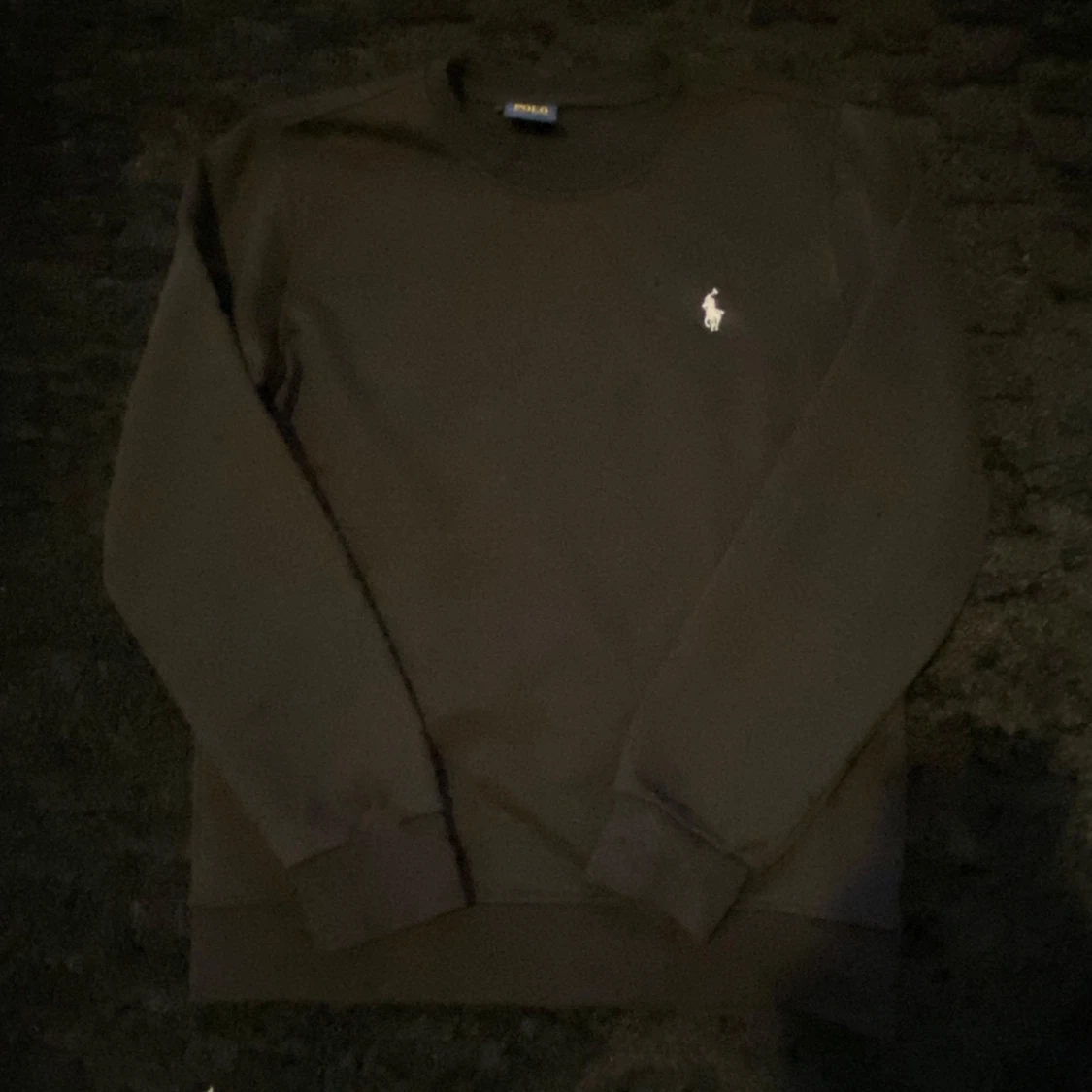 Mörkbrun sweatshirt från Polo Ralph Lauren