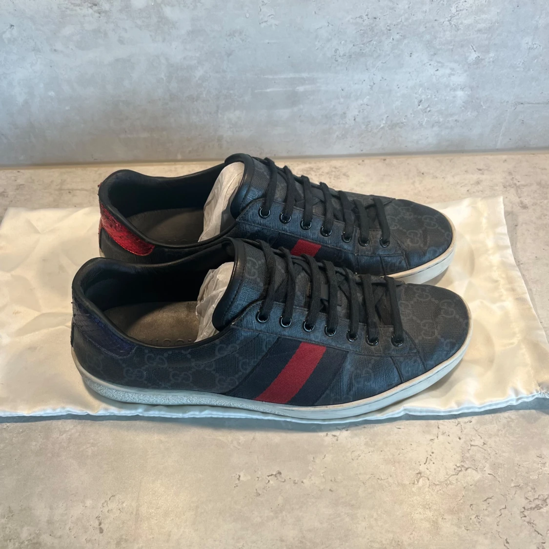 Gucci ace