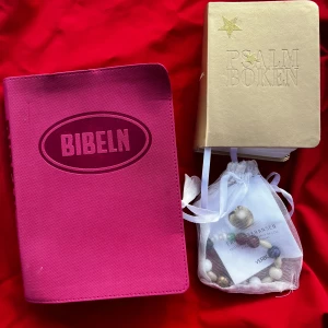 Bibeln & Den Svenska Psalmboken med tillägg (ge bud) - Färgglad Bibel och guldfärgad Psalmbok – perfekt för unga! Inkluderar armband med pärlor och instruktioner. Bibeln har plats för minnesverser och personlig hälsning. 