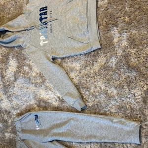 Grå Trapstar tracksuit - Säljer en grå tracksuit från Trapstar med broderad logga i olika blå nyanser på bröstet. Tröjan har huva med dragsko och en stor magficka. Perfekt för en avslappnad och sportig stil. Med riktig bra kvalitet har använd den någro gånger .