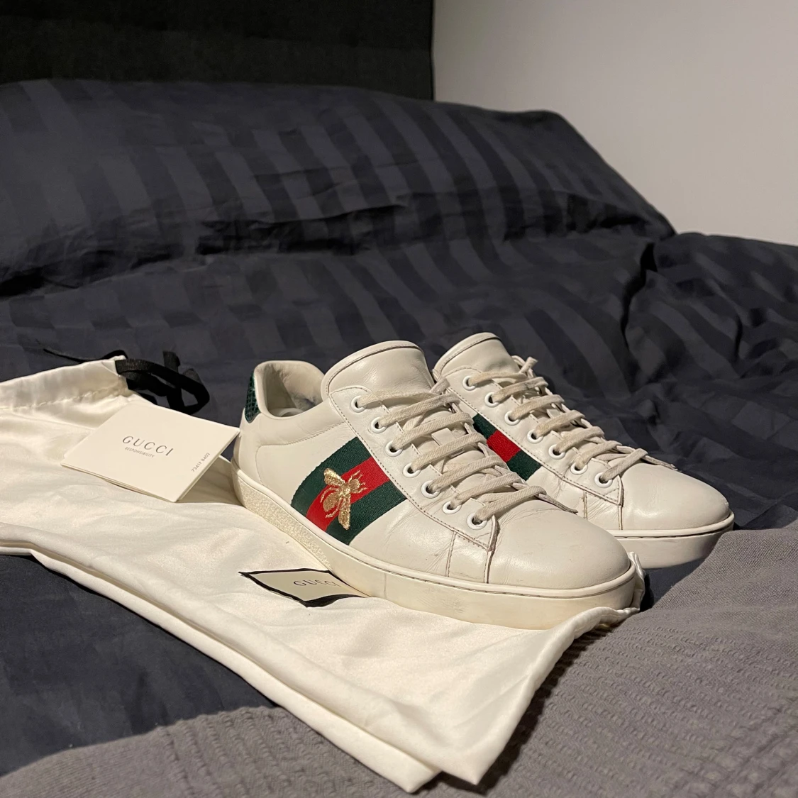 Gucci ace 