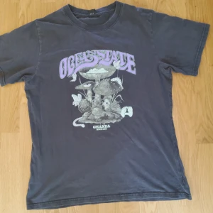 Skitcool T-shirt - Jättecool tshirt från ett klimatsmartare australiskt märke, Ghanda. Använd men i bra skick. Passar bra till en maxikjol eller baggy jeans. Storlek 10, så typ M.