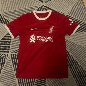 Röd fotbollströja från Nike - Säljer en röd fotbollströja från Nike med vita detaljer. Tröjan har korta ärmar och klubbens logga samt sponsortryck på framsidan. Perfekt för fotbollsfans som vill visa sitt stöd.