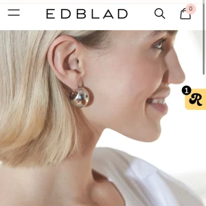 Silverfärgade örhängen från Edblad - Stilrena och eleganta silverfärgade örhängen från Edblad. 