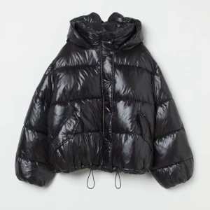 Svart vinter dunjacka HM - SUPER fin och varm🥰🥰Hade ett litet hål på armen som jag täckte med reflex tejp, fråga om bild 