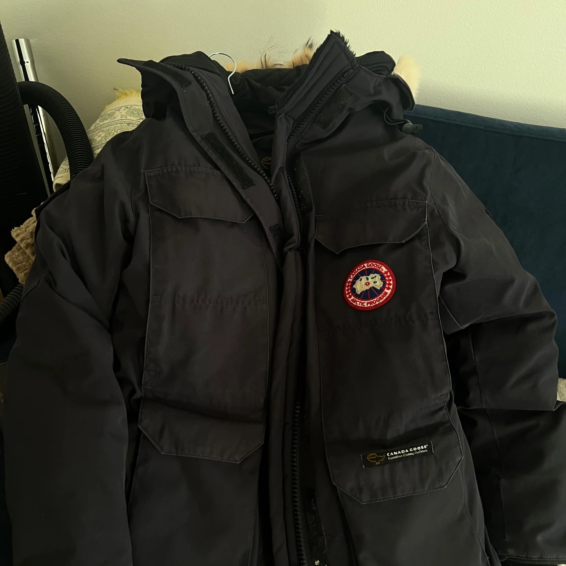 Canada goose  - 91
