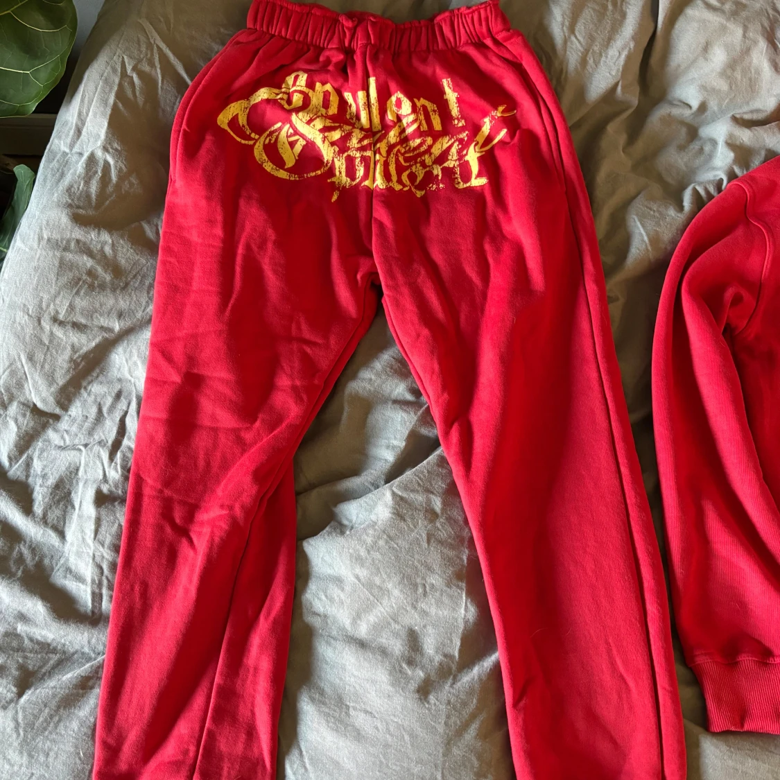 Opulent Tracksuit - 1