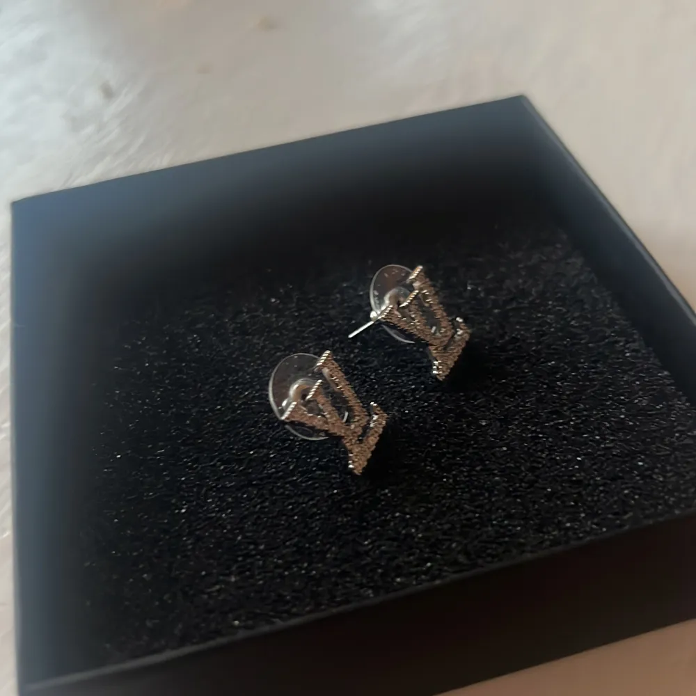 Snygga örhängen i silver med en glittrig LV logga Aldrig använda. Asusteet.