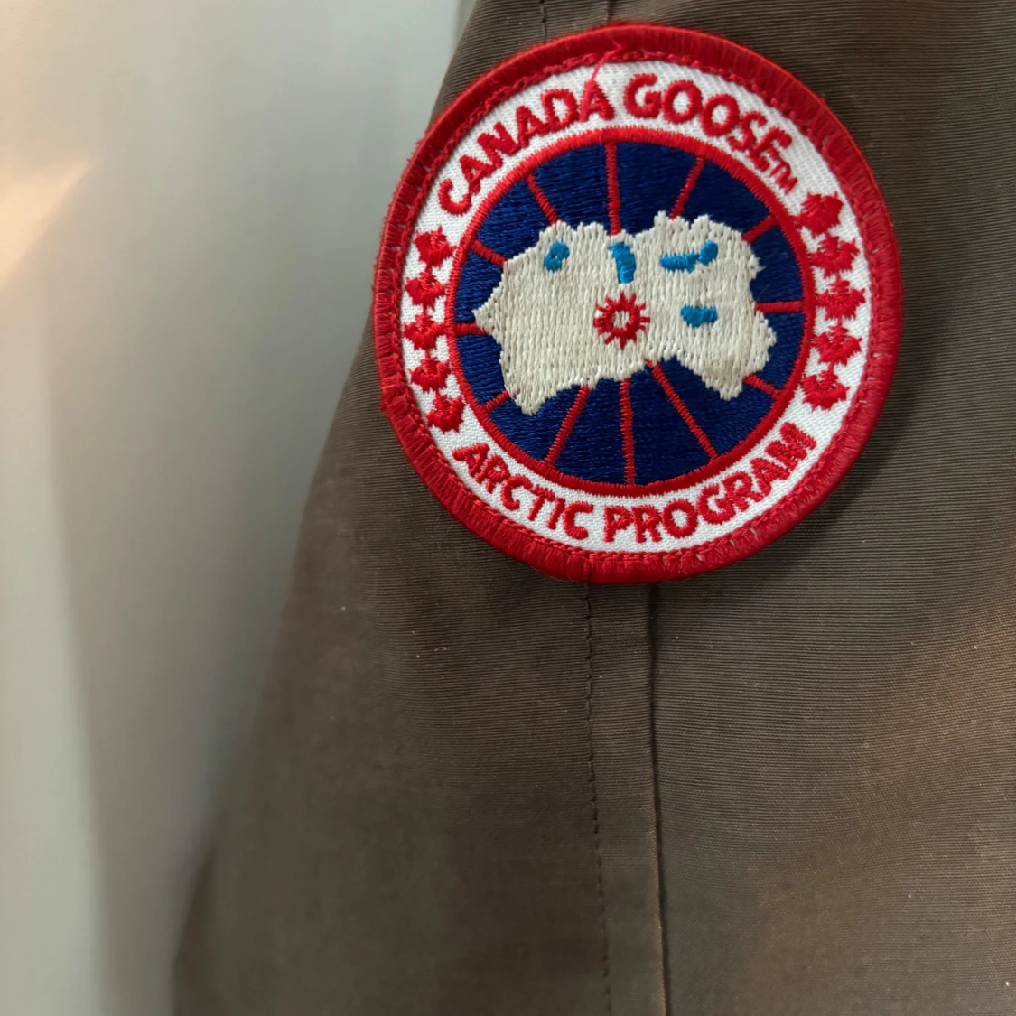 Canada goose chilliwack - 92