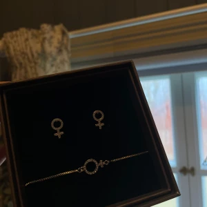 Silverfärgat smyckeset med kvinnosymbol - Elegant smyckeset i silverfärg med örhängen och armband. Båda delarna har en glittrig kvinnosymbol som detalj. Aldrig använda 
