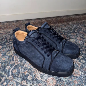 Christian Louboutin  - I princip helt nya i storlek 42, ingen box medföljer men tillbehör osv kommer med, för mer bilder eller frågor är det bara att skriva!