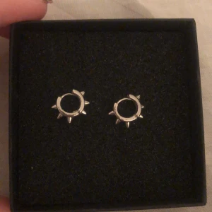 Öronhängen  - Jätte fina öronhängen men kommer ej till användning 