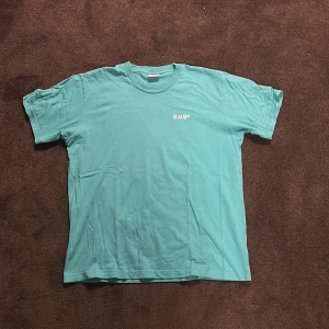 Turkos t-shirt från SNS - Säljer en turkos t-shirt från SNS med tryck på både fram- och baksidan. Storlek M sitter TTS. Unik färg från gammal kollektion använd max 5 ggr.