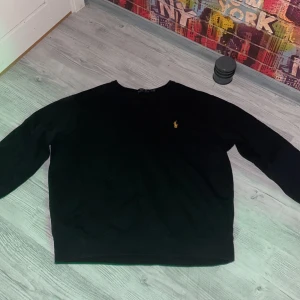 Raulph lauren tröja - Den är i jätte bra skick inget är fel på den (: