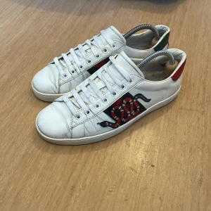 Gucci ace skor - Gucci ace skor  Ganska creasade men annars bra skick Box ingår Storlek 42 men passar 42-43 Pris kan diskuteras vid snabb affär