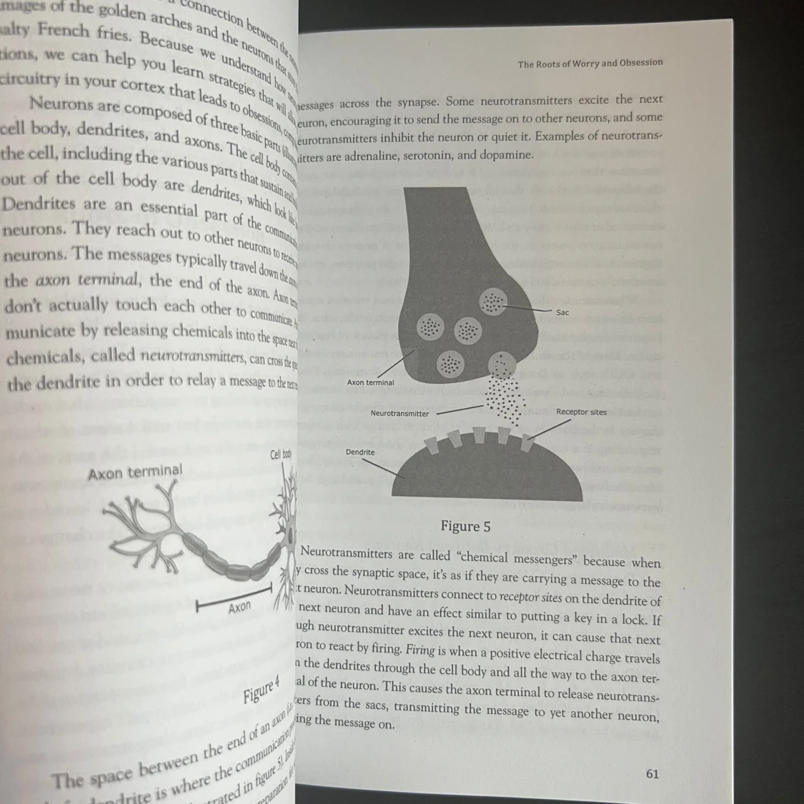 Rewire Your OCD Brain - 91