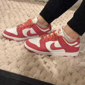 Nike dunk low  - Nike dunk low archeo pink i stl 36,5  Använda vid 1 tillfälle så i gott skick Tyvärr medföljer ingen kartong då jag råkat slänga den💕