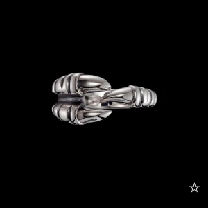 Ring Maria Nilsdotter - Claw ring från Maria Nilsdotter i oxidized silver. Tror det är storlek 17 eller 18. Medkommer box till. Nypris 3995 men säljer för 1800.