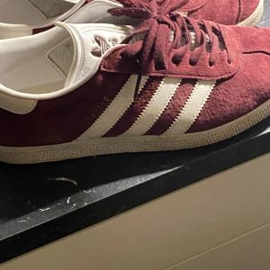 Adidas Gazelle - Adidas Gazelle, vinröda. Lite använda, mest stått i garderoben så bättre att någon annan får nöje av dom istället.