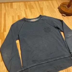 Blå tröja från Acne - Säljer en stilren blå tröja från Acne med rund halsringning och långa ärmar. Tröjan har en diskret logga på bröstet och text på baksidan nära nacken. Perfekt för en avslappnad look.