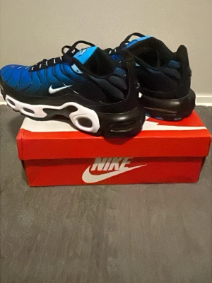 Nike air Max plus  - Säljer mina Tn skor som kom i fel storlek jätte fina kunde inte lämna tillbaka de passar många olika längder blandat mörkblåa me ljusblåa  