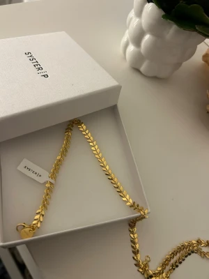 18k äkta guldpläterat halsband från Syster P - Helt oanvänd med lappen på men inget kvitto - fick som studentpresent men säljer då ja fått likanande o behöver bli av med en hel del. Nypris 2799kr. Pris kan diskuteras vid snabb affär! Skickas i orginalkarting osv.