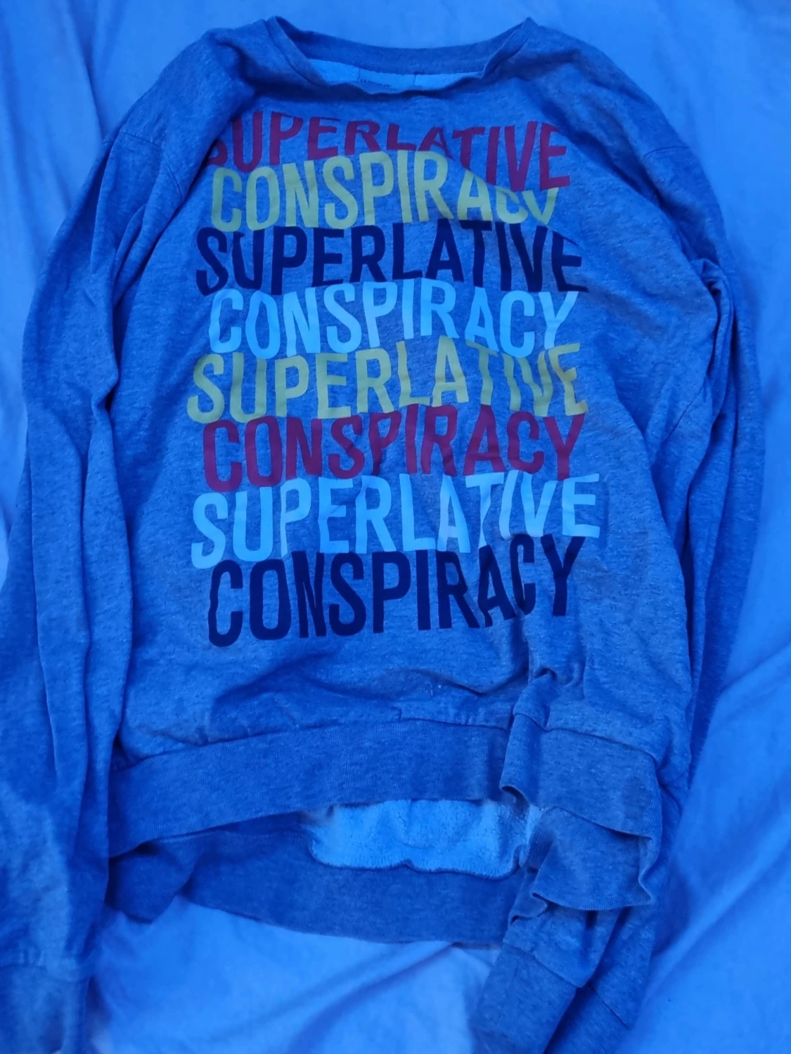 Grå sweatshirt från WeSC