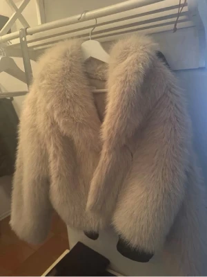 Pälsjacka från Zara - Jättefin pälsjacka från Zara i mycket bra skick 
