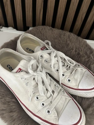 Vita Converse All Star låga sneakers - Klassiska vita Converse All Star sneakers i canvas med lågt skaft och vita snören. Skorna har röda och blå detaljer på sulan och Converse-logga på baksidan. Perfekta för en avslappnad och stilren look.