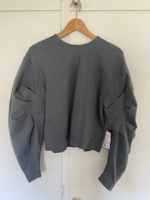 Grå långärmad tröj från ARRANGE, Asos - Snygg grå topp från ARRANGE med unika ballongärmar och veckade detaljer. Storlek S funkar som M också. Ny med prislapp. 