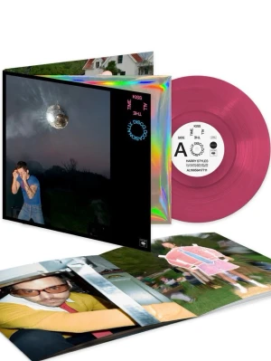 Kiss All The Time. Disco, Occasionally vinyl skiva Harry Styles  - KATTDO vinylskiva, häfte med bilder och lyrics till alla låtar på skivan. Även ett fint omslag med bilden av KATTDO album cover. Skivan är rosa och kommer med ett silvrigt inneromslag och ett häfte med bilder. Snabb leverans. Allt är helt nytt, jag har inte använt alls. Jag har öppnat men ingen mer. Skriv om ni har frågor❤️ Jag har ute varan på andra plattformar så skriv gärna innan ni köper så att varan inte blir duppelköpt❤️