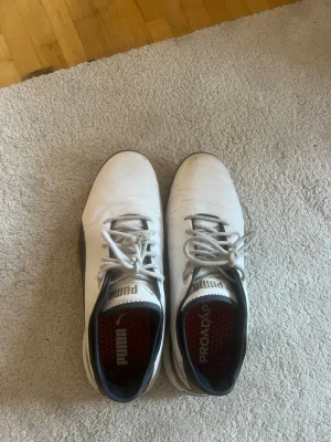 Vita Puma golf skor  - Säljer ett par vita golf skor  från Puma. Dom är i storlek 42 och har lite repor i fram på båda skorna som ni ser på en av bilderna. Hör gärna av dig vid frågor eller funderingar. Pris kan diskuteras vid snabb affär.  // Sellers 