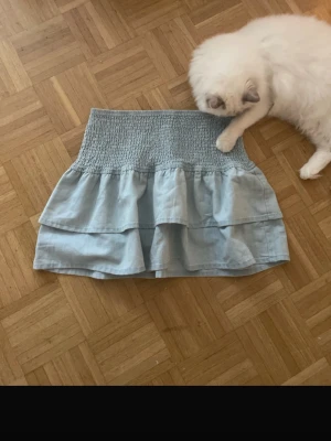 Ljusblå volangkjol från H&M - Supersöt ljusblå kortkjol från H&M med smock i midjan och dubbla volanger. Kjolen är gjord i mjuk bomull och har en luftig känsla, perfekt för varma dagar. Enkel att matcha med både toppar och sneakers.