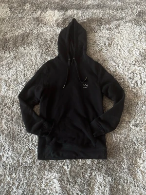 Hov1 hoodie - Säljer denna hoodie som köptes under hov1 barn av vår tid turné. Använd ca 3 gånger så skicket är som nytt! Priset kan diskuteras.