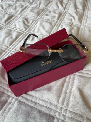 C4RT1ER - Transparenta som skiftar färg i solen. Med guld detaljer. 