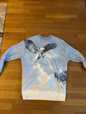 TRAPSTAR TRÖJA - Cool ljusblå sweatshirt med tryck av flygande fåglar på framsidan. Tröjan har rund halsringning, långa ärmar och ribbade muddar. Perfekt för dig som gillar unika prints och vill sticka ut lite extra.