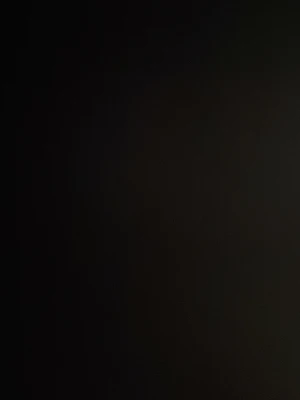 Okänd vara - Bilden är för mörk för att identifiera varan eller dess detaljer. Vänligen ladda upp en tydligare bild för att få en korrekt beskrivning.