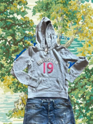 Grå hoodie från Hollister med tryck - Snygg grå hoodie från Hollister med stor huva och magficka. Framtill står det 'HOLLISTER' i vitt och siffran '19' i rosa brodyr. Perfekt för en avslappnad och sportig stil. Mjuk bomullsblandning och ribbade muddar vid ärmar och nederkant.