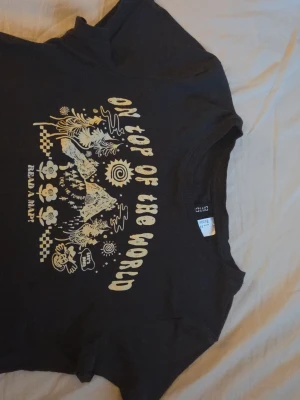 Svart kort t-shirt med tryck - Cool svart t-shirt med beige tryck framtill som föreställer berg, figurer och texten 'On top of the world'. T-shirten har rund hals och korta ärmar, perfekt för en avslappnad stil. Det är en kort T-shirt 