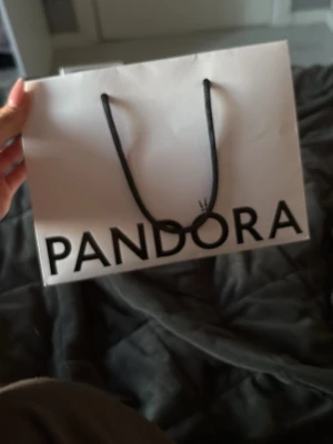Pandora presentpåse med snöre - Säljer en snygg presentpåse från Pandora i vitt med svart logga och svarta snören. Insidan är ljusrosa och påsen är perfekt för att ge bort smycken eller små presenter. Klassisk design och stabilt papper.