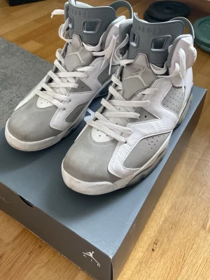 Air Jordan 6 Retro grå/vit - Snygga Air Jordan 6 Retro sneakers i grått och vitt. Skorna har högt skaft, klassisk Jumpman-logga på hälen och tungan, samt perforerade detaljer på sidorna. Tillverkade i en mix av mocka och läder med robust sula och coola detaljer som dragsko vid hälen.