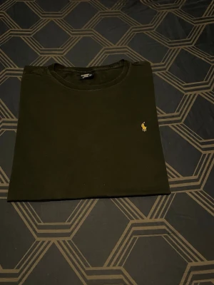 Polo Ralph Lauren t-shirt - En Polo Ralph Lauren t-shirt med broderad logotyp. 100% bomull och har en bra skick!               📦Frakt inom 2-3 dagar.                                                Hör av er vid frågor eller funderingar😊